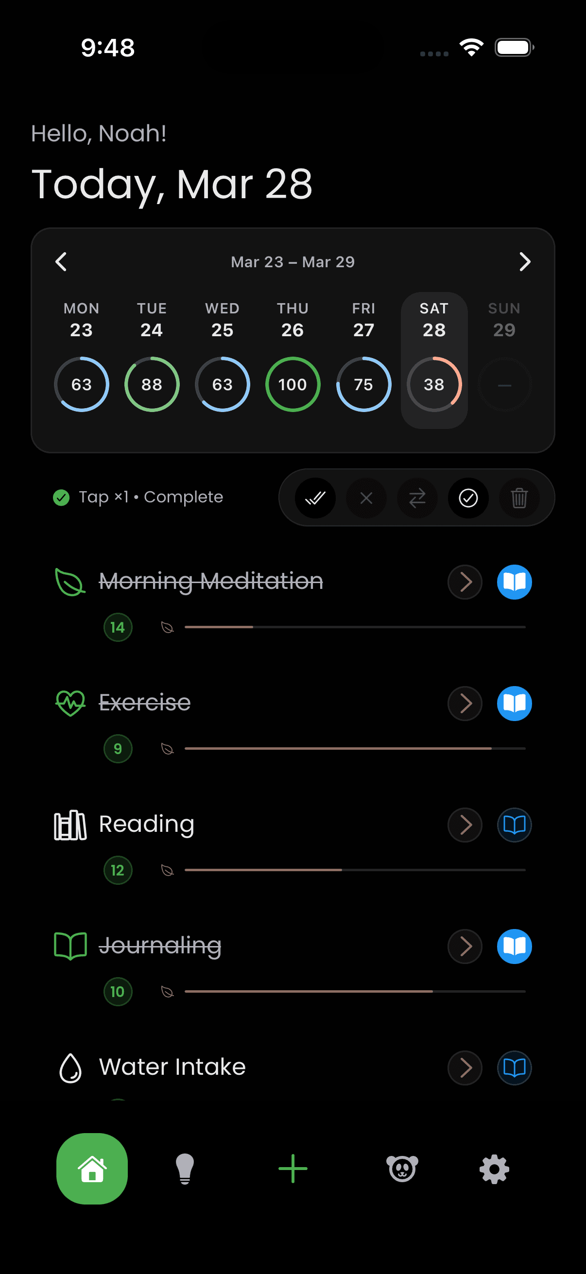 Lazy Panda — The quiet center of your day.